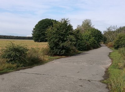 3. STADTRAUMspaziergang